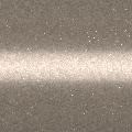 EW206Q INT F2010 CHAMPGN EW206Q INT F2010 CHAMPGN