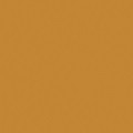 ae101q int 100 pmt ylw primer ae101q int 100 pmt ylw primer