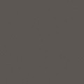 ZN201QF INT 810 BLACK BEAN