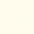 MA2107 INTERPON 610 WHITE MA2107 INTERPON 610 WHITE