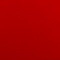 YG003QF INT ACE 2010 CASE RED