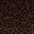 JW416QF 33 9766 GOLD VEIN7 JW416QF 33 9766 GOLD VEIN7